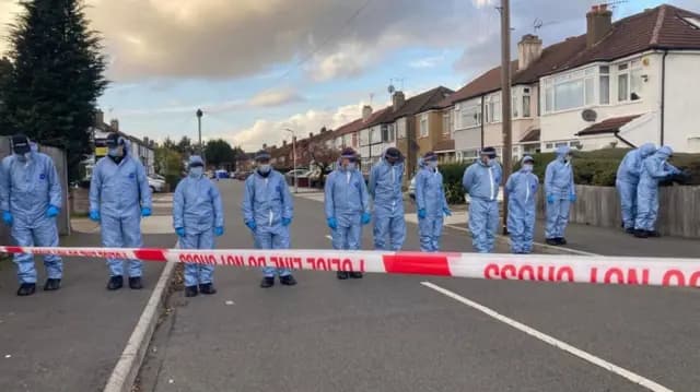 The London court is reviewing the murder and knife attack charges against an Afghan asylum seeker.