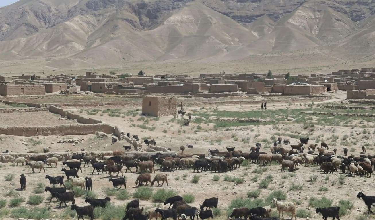 UNAMA: Drought and water shortages threaten Afghanistan’s food security.