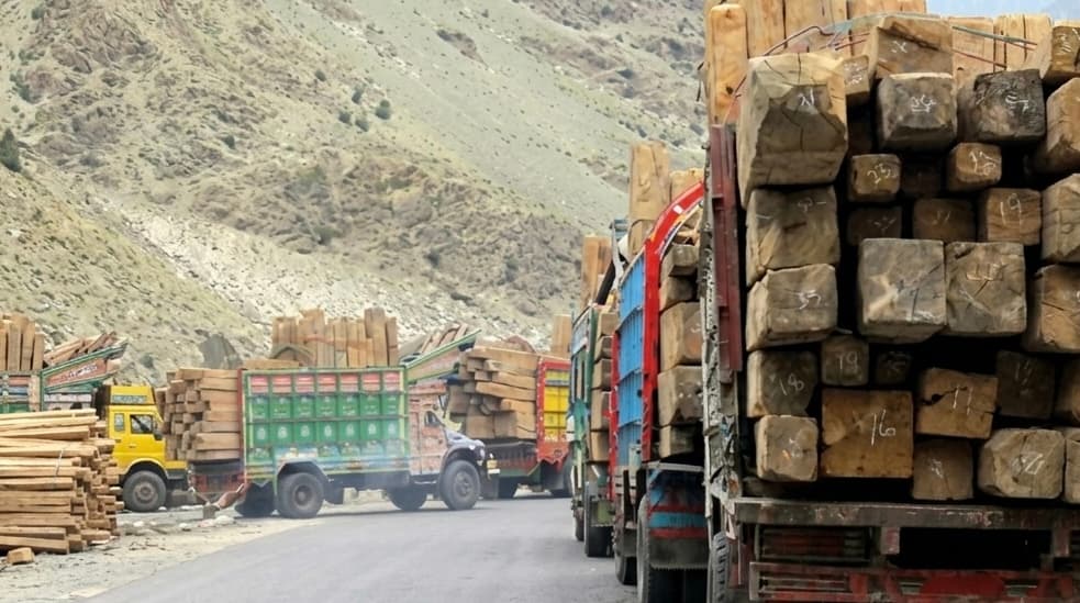 «جنگل‌های کنر و نورستان به‌گونهٔ گسترده قطع می‌شوند.