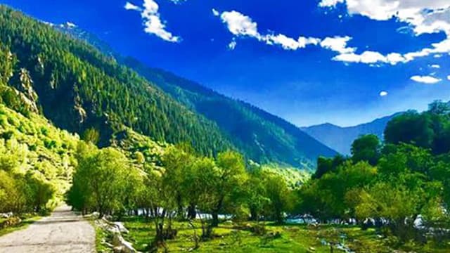 A ten-million-dollar forest restoration project will be simultaneously implemented in Kunar and Badakhshan.