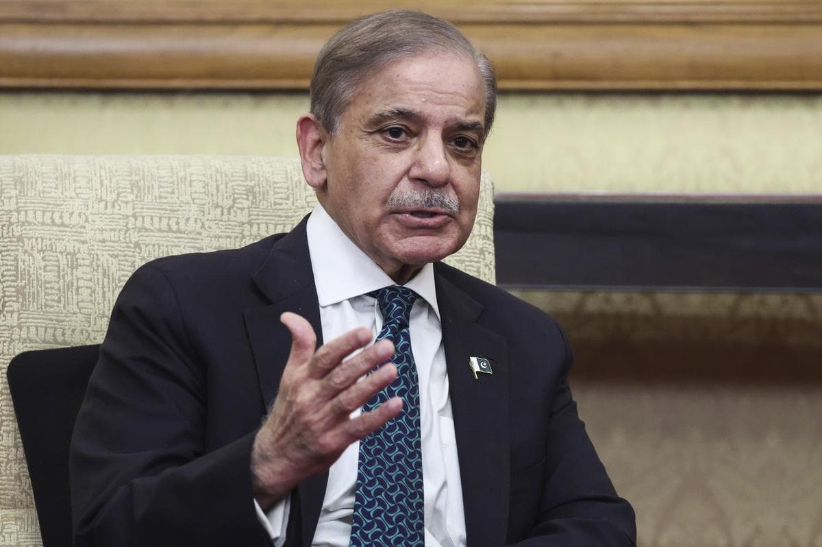 Shehbaz Sharif: We have expelled 204 million Afghan migrants from Pakistan.