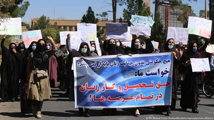 The Taliban have arrested at least 12 women and one man in Herat.