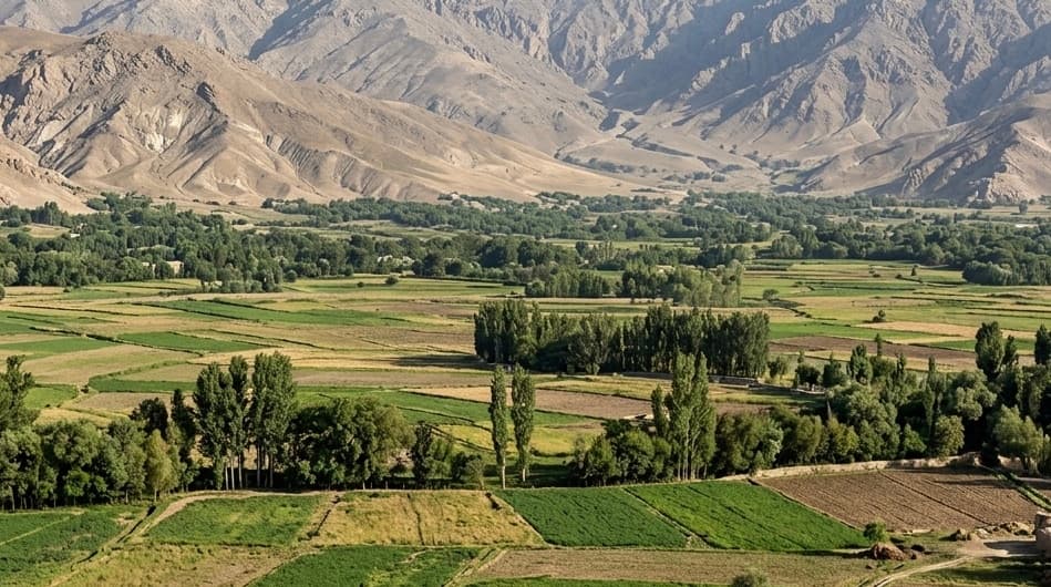 United Front: We have killed four Taliban fighters in Faryab and Balkh.