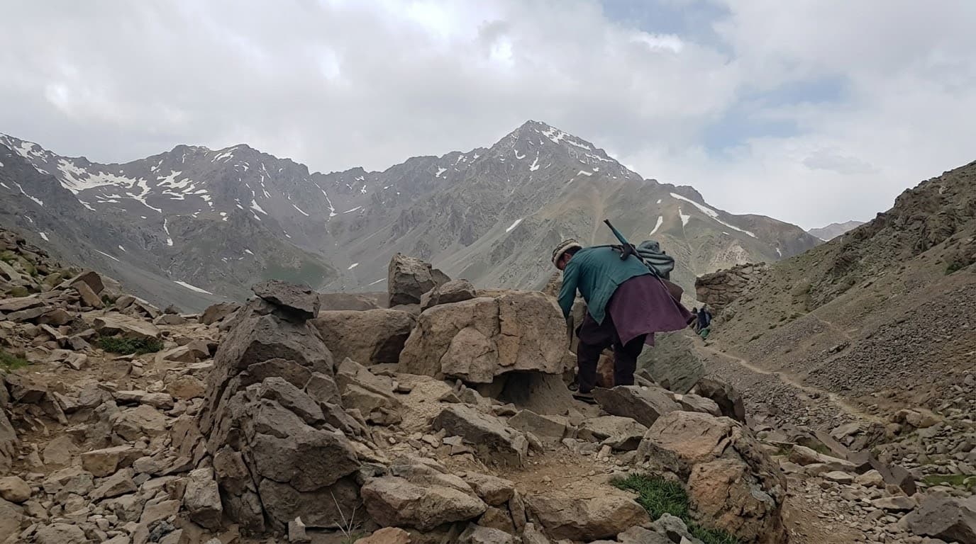 Freedom front reports 16 Taliban members killed or wounded in Zebak.
