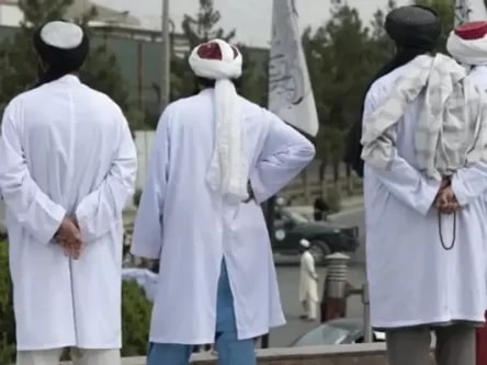 The Taliban have announced the prohibition of activities by preachers who are not followers of the Hanafi school.