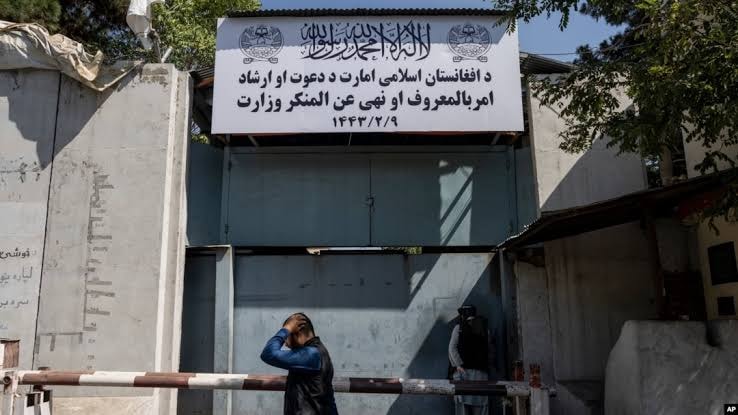 طالبان: په شپږو ولايتونو كې ٣٩ ښځې له كورني تاوتريخوالي ژغورل شوي.