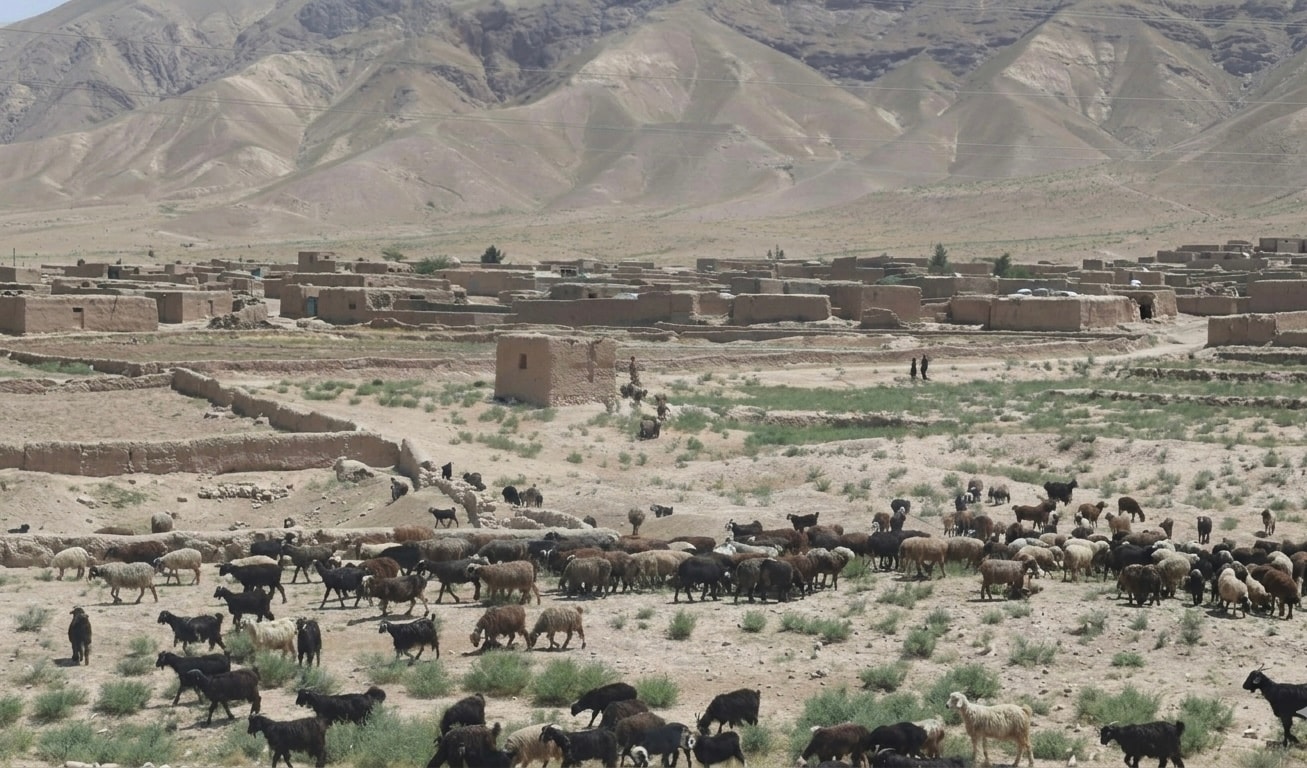 UNAMA: Drought and water shortages threaten Afghanistan’s food security.