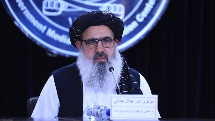 نور جلال جلالی: برای معیاریسازی طب سنتی، کار و همکاری مشترک ضروری است.